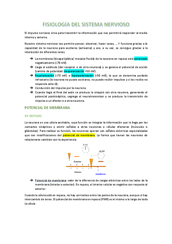 Miniatura del documento apuntes-t3-neuro.pdf