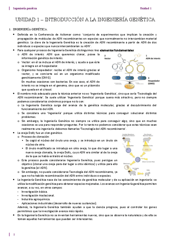 Miniatura del documento U1-SUBIR.pdf