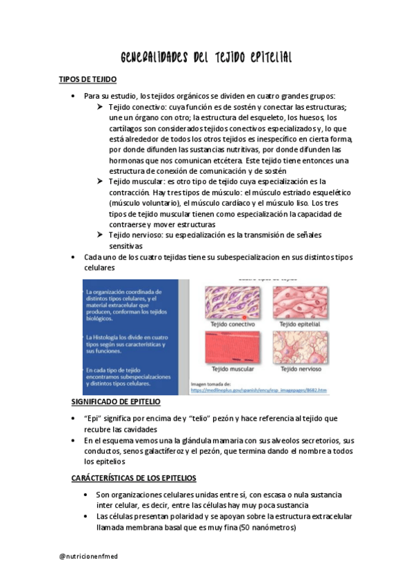 Miniatura del documento TEJIDO-EPITELIAL.pdf