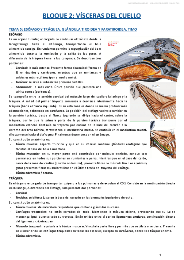 Miniatura del documento BLOQUE-II.pdf