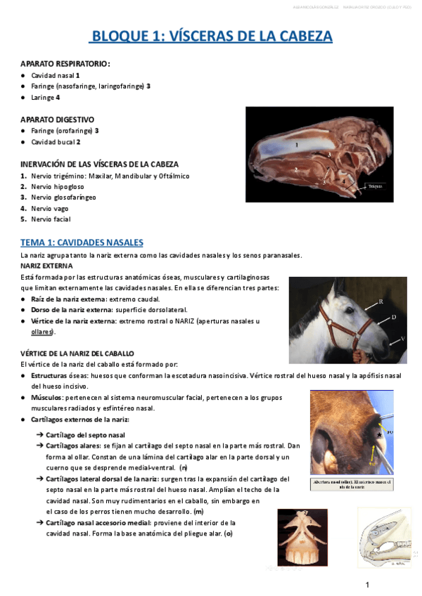 Miniatura del documento BLOQUE-I.pdf