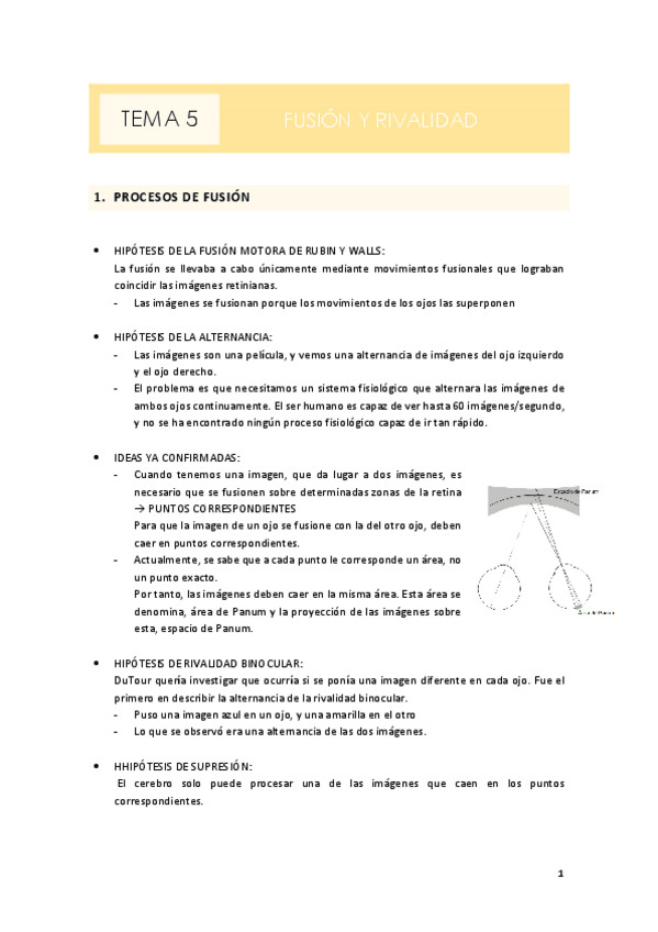 Miniatura del documento TEMA-5FUSION-Y-RIVALIDAD.pdf