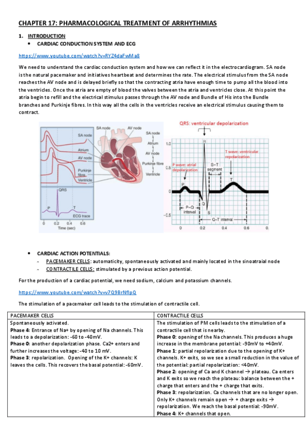 Miniatura del documento CHAPTER-17.pdf