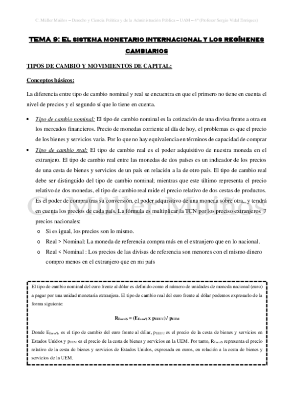 Miniatura del documento TEMA-9-El-sistema-monetario-internacional-y-los-regimenes-cambiarios.pdf