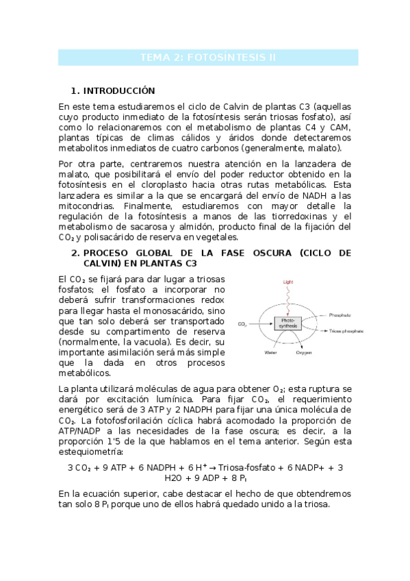 Miniatura del documento TEMA-2.docx