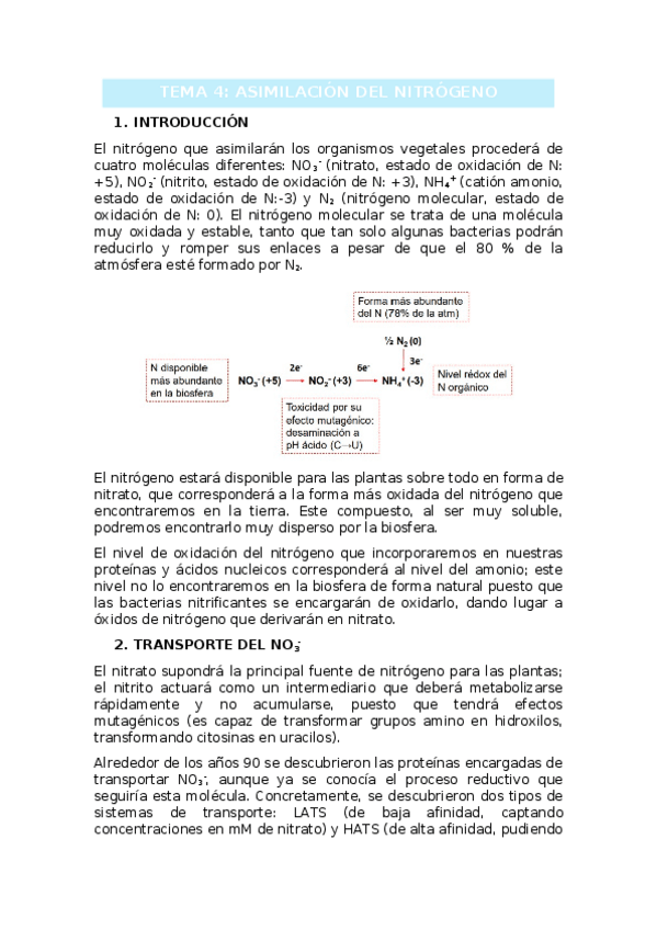 Miniatura del documento TEMA-4.docx