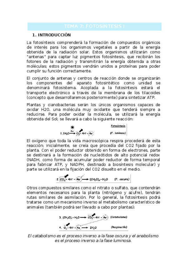 Miniatura del documento TEMA-1.docx
