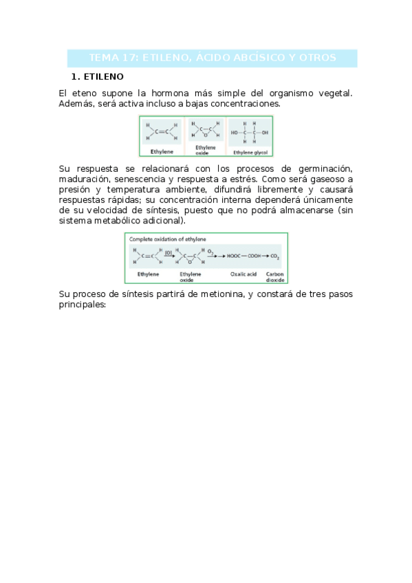 Miniatura del documento TEMA-17.docx