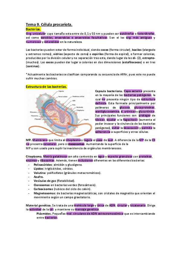 Miniatura del documento Tema-9.pdf