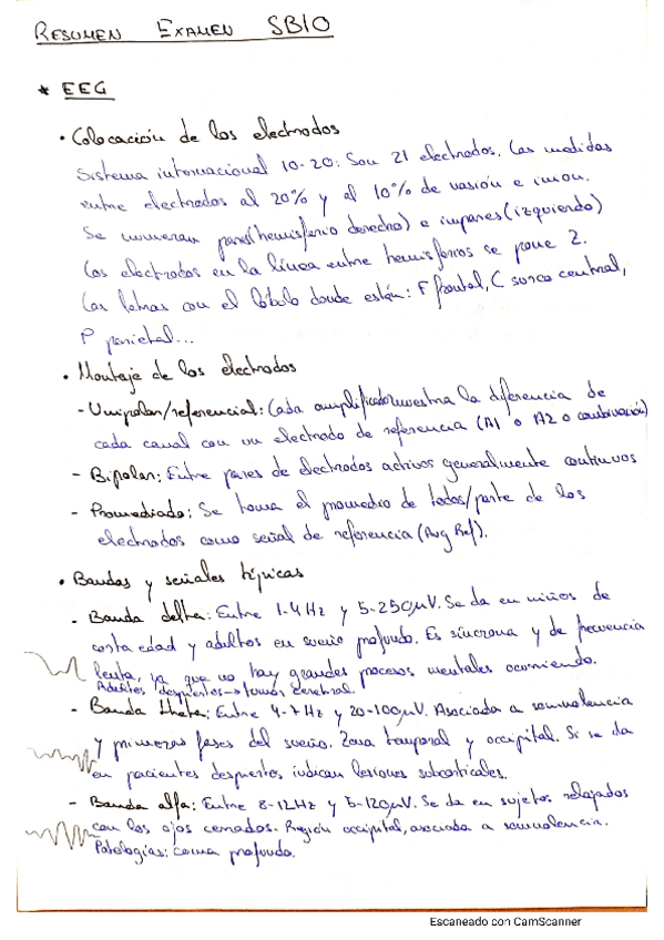 Miniatura del documento resumen-sbio.pdf