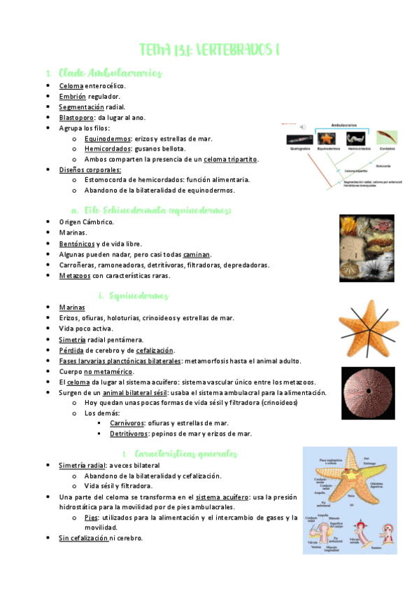 Miniatura del documento TEMA-13.pdf