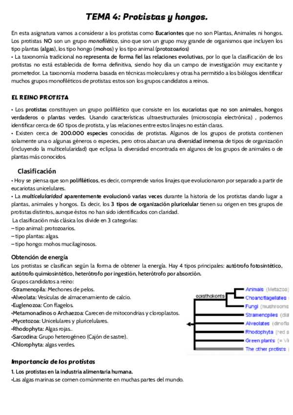 Miniatura del documento TEMA-4.pdf