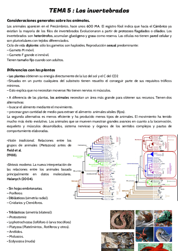 Miniatura del documento TEMA-5-.pdf