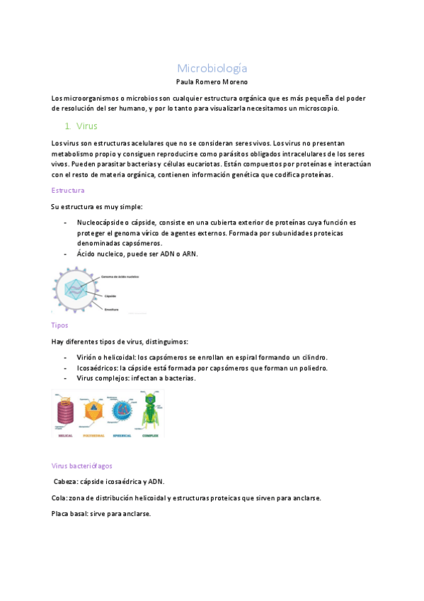 Miniatura del documento microbiologia.pdf