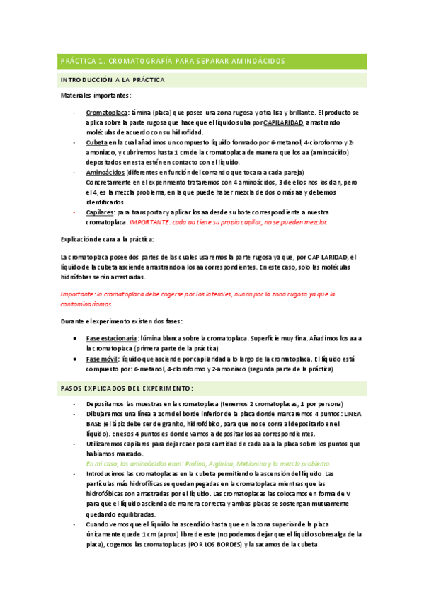 Miniatura del documento P1.pdf