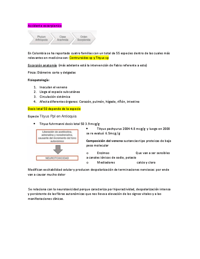 Miniatura del documento Escorpiones.pdf