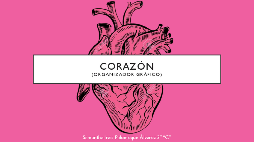 Miniatura del documento Organizador-Grafico-Corazon.pdf