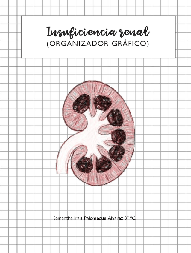 Miniatura del documento Organizador-Grafico-Insuficiencia-Renal.pdf