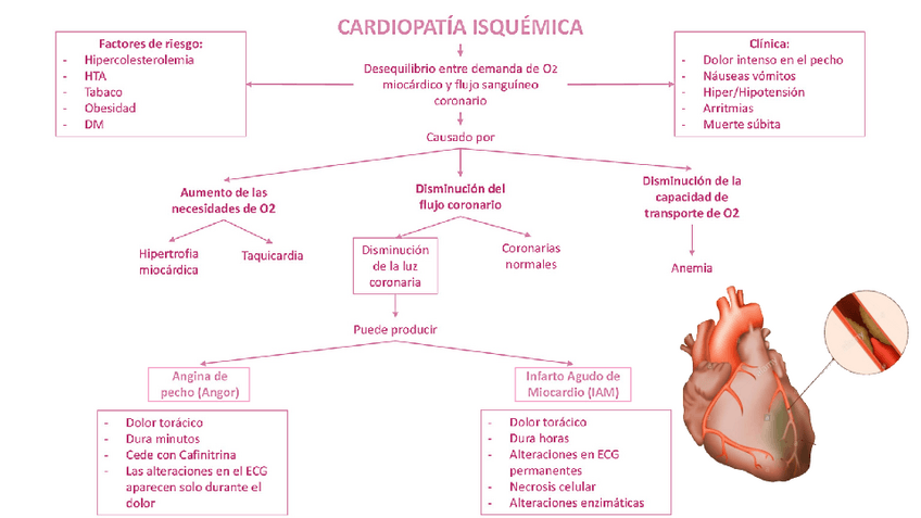 Miniatura del documento CARDIOPATIA-ISQUEMICA.pdf