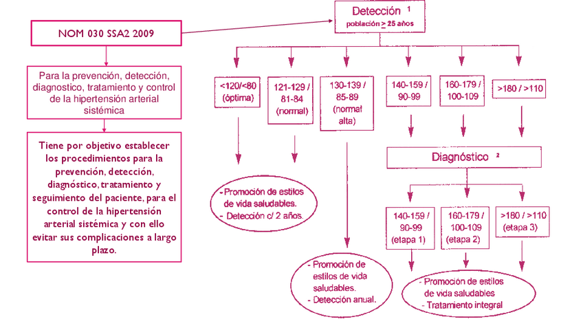 Miniatura del documento NOM-030-SSA2-2009.pdf