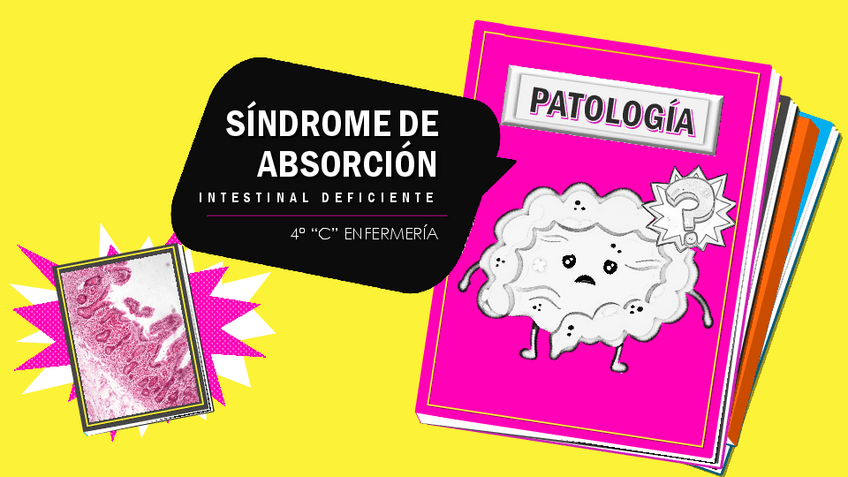 Miniatura del documento SX-MALABSORCION-EMBRIOLOGIA.pdf