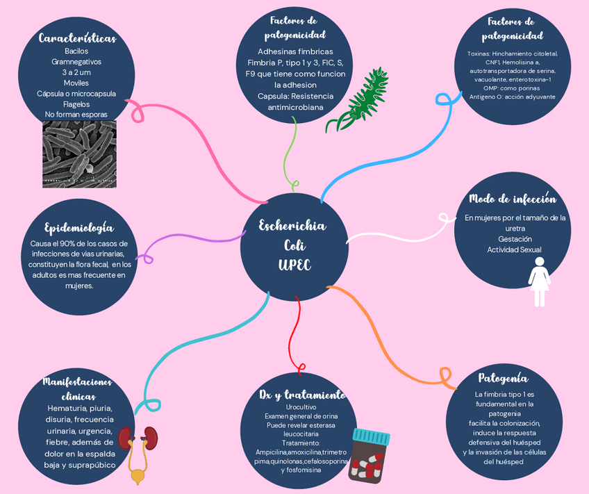 Miniatura del documento Mapas-mentales-microbiologia.pdf