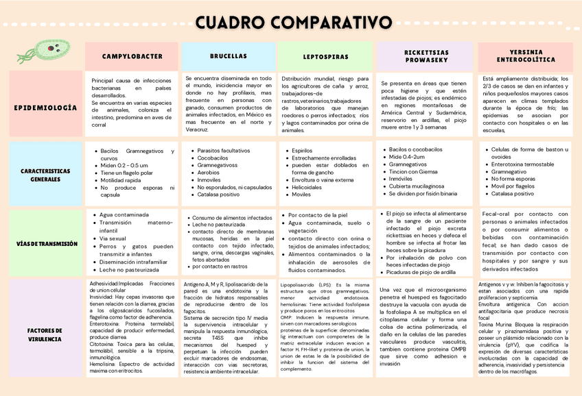 Miniatura del documento Cuadro-comparativo-microbiologia.pdf