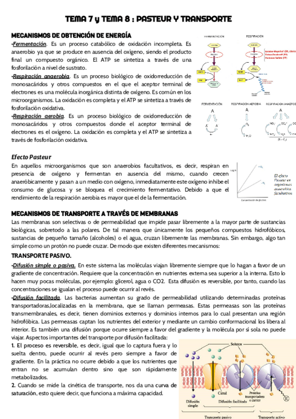 Miniatura del documento TEMA-7-y-TEMA-8-micro-.pdf