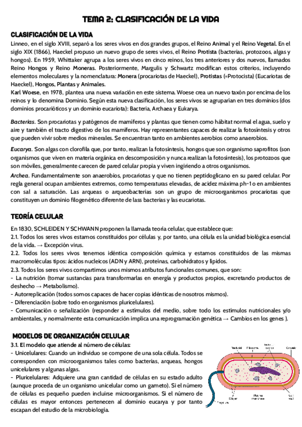 Miniatura del documento TEMA-2-micro-.pdf