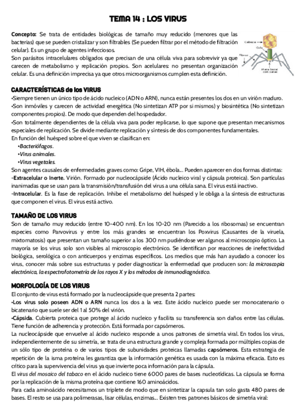 Miniatura del documento TEMA-14.pdf