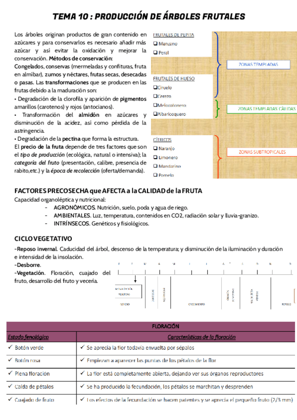 Miniatura del documento TEMA-10.pdf