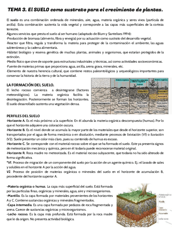 Miniatura del documento TEMA-3.pdf