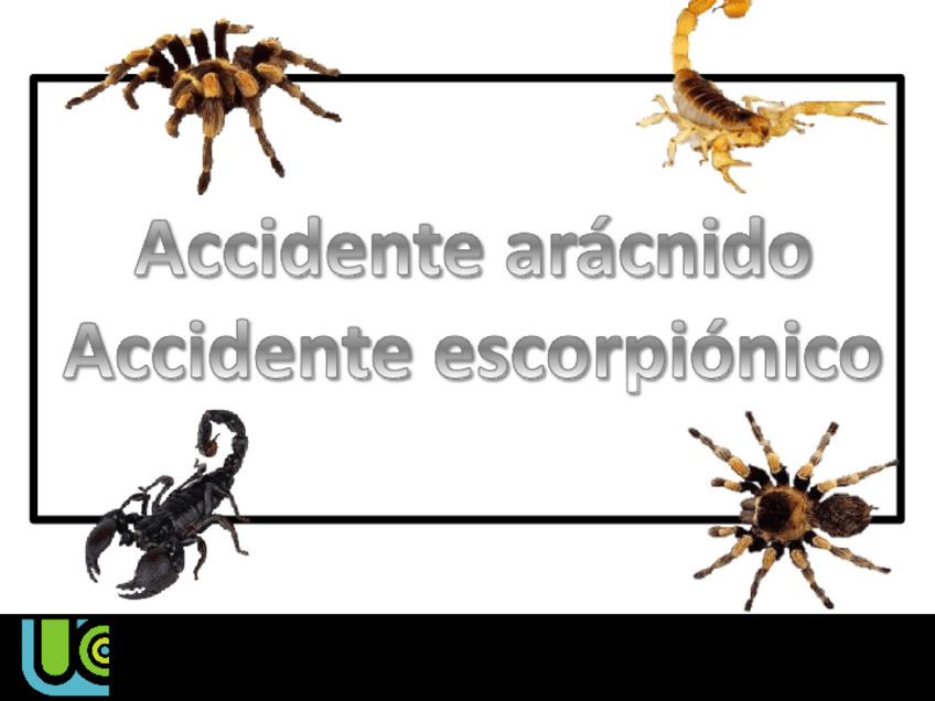 Miniatura del documento Accidente-aracnido-DIAPOS.pdf