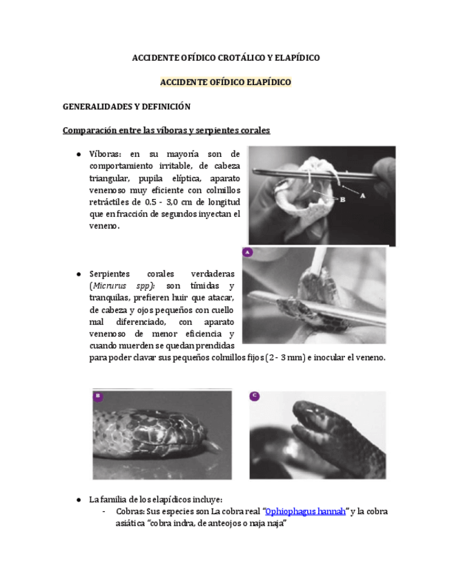 Miniatura del documento INTRODUCCION-ACCIDENTE-OFIDICO-CROTALICO-Y-ELAPIDICO.pdf