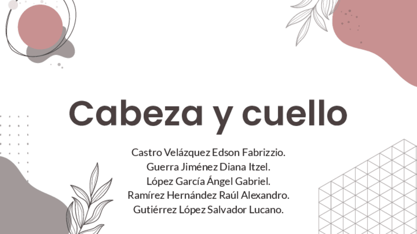 Miniatura del documento Cabeza-y-cuello.pdf