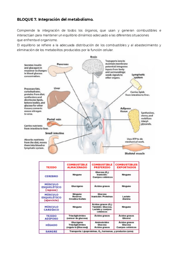 Miniatura del documento Bloque-7.pdf