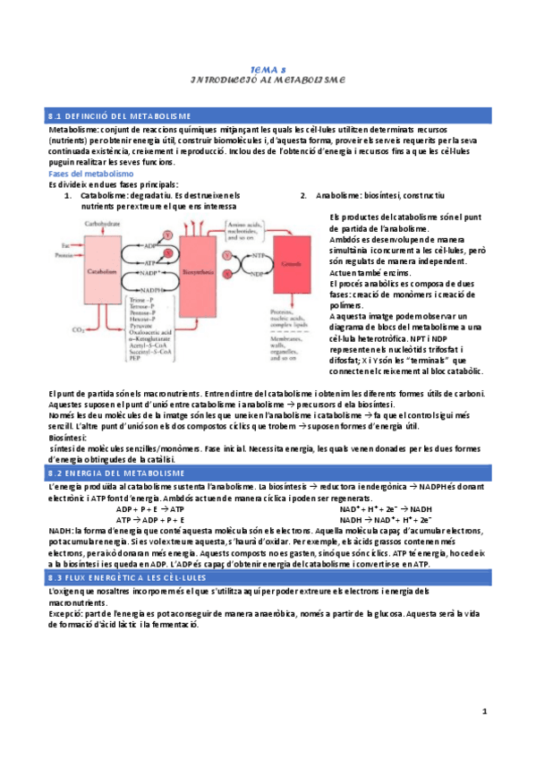 Miniatura del documento tema-8-introduccio-al-metabolisme.pdf