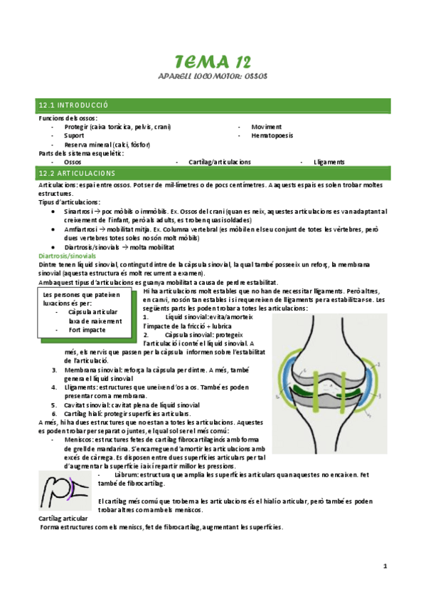 Miniatura del documento tema-12-aparell-locomotor.pdf