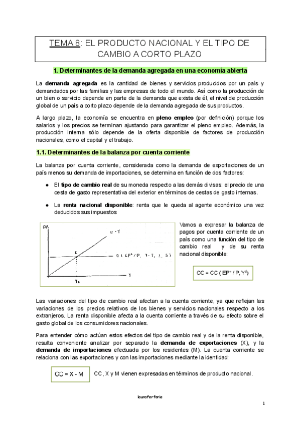 Miniatura del documento TEMA-8-internacional.pdf
