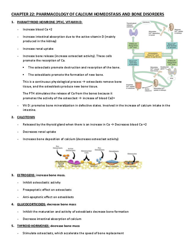 Miniatura del documento CHAPTER-22.pdf