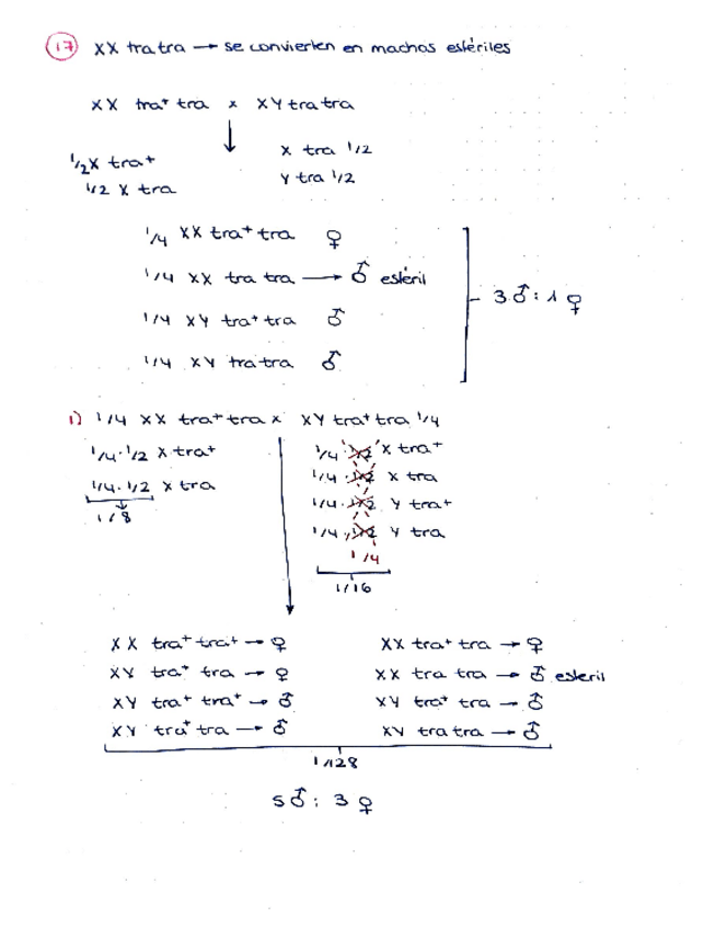 Miniatura del documento Ejercicio-tema-4-17.pdf