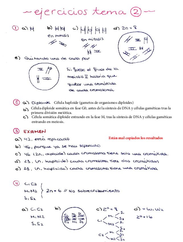 Miniatura del documento Ejercicio-tema-2-1-5.pdf