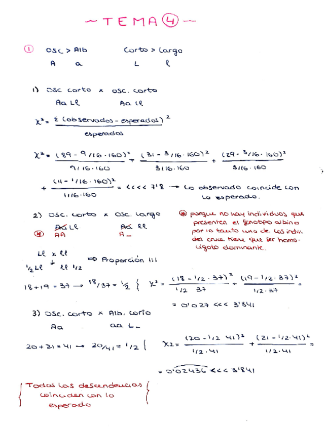 Miniatura del documento Ejercicio-tema-4-1-17-menos-16.pdf