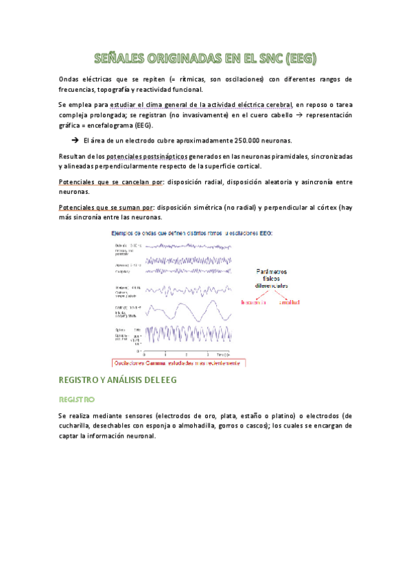 Miniatura del documento apuntes-t2b-fisio.pdf