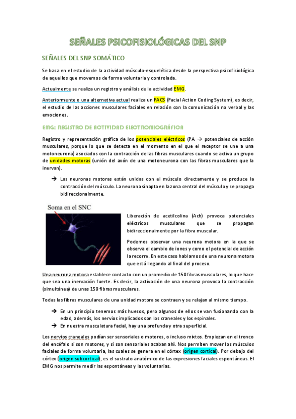 Miniatura del documento apuntes-t3-fisio.pdf