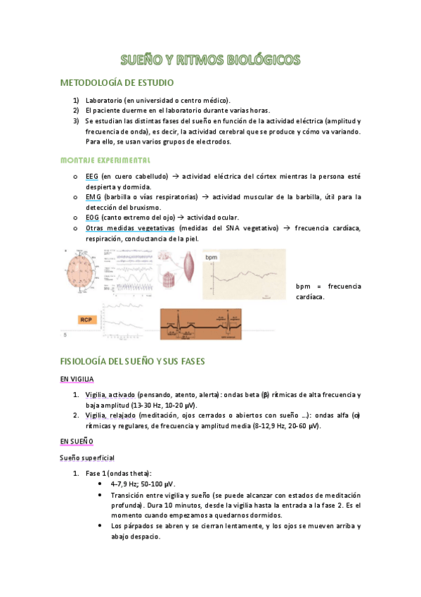 Miniatura del documento apuntes-t4-fisio.pdf
