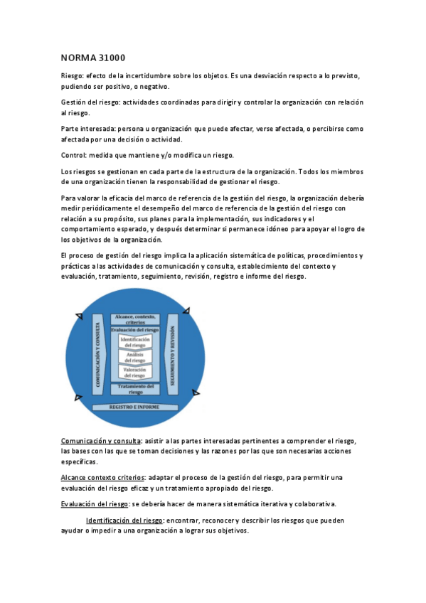 Miniatura del documento TEORIA.pdf