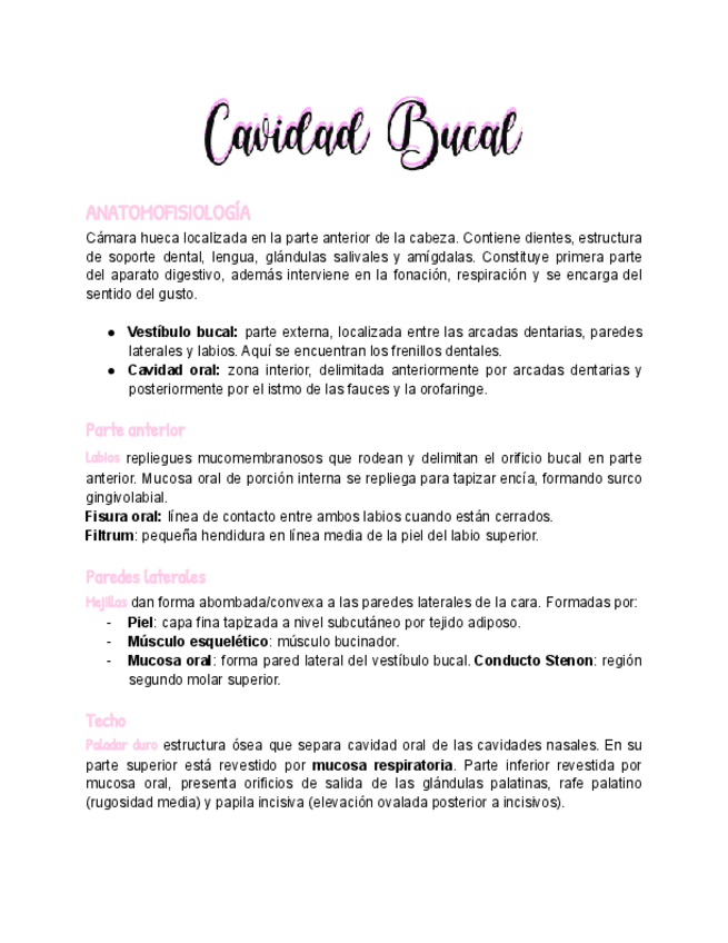 Miniatura del documento Cavidad-Bucal.pdf