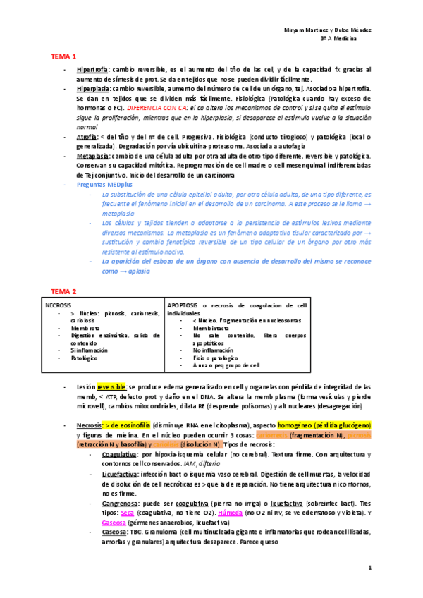 Miniatura del documento REPASO-AP-1ER-CUATRI.pdf