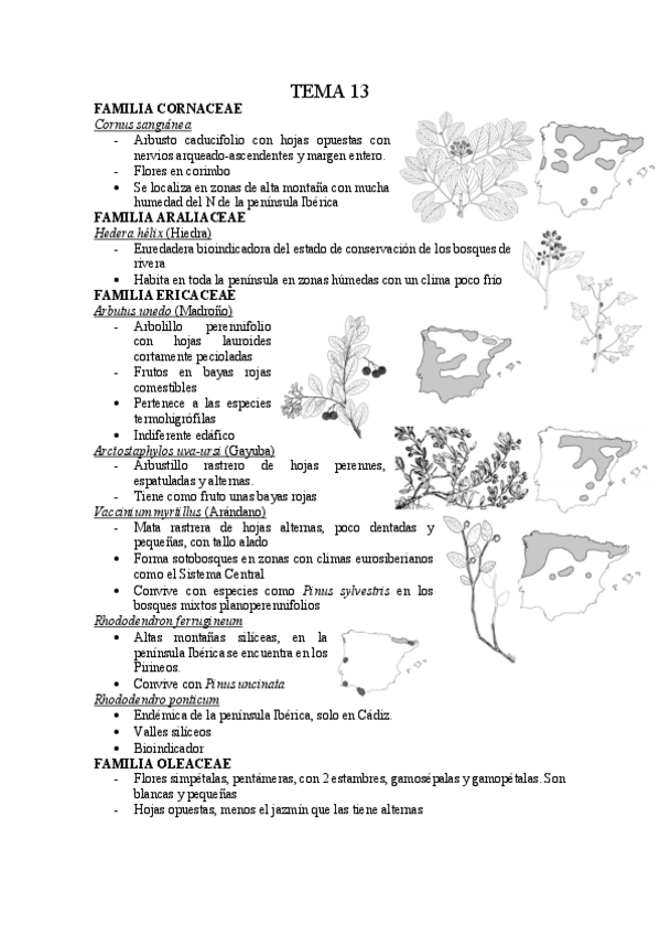 Miniatura del documento Tema-13.pdf